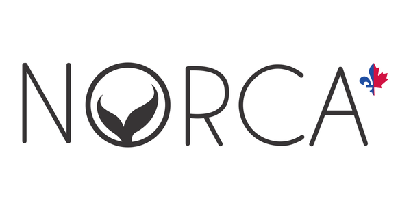 Norca Athletic Swimwear 
