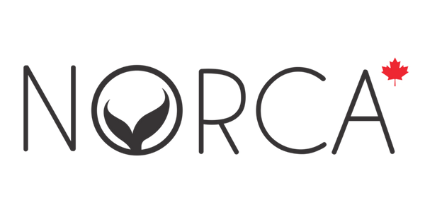 Norca Athletic Swimwear | Norca Natation Inc.